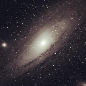 毛茸茸的大骚屄视频
