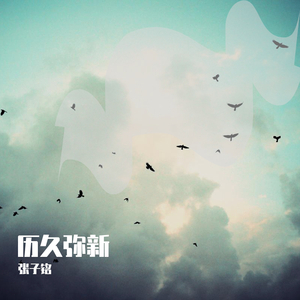 毛茸茸的大骚屄视频
