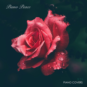 毛茸茸的大骚屄视频
