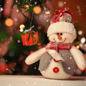 毛茸茸的大骚屄视频
